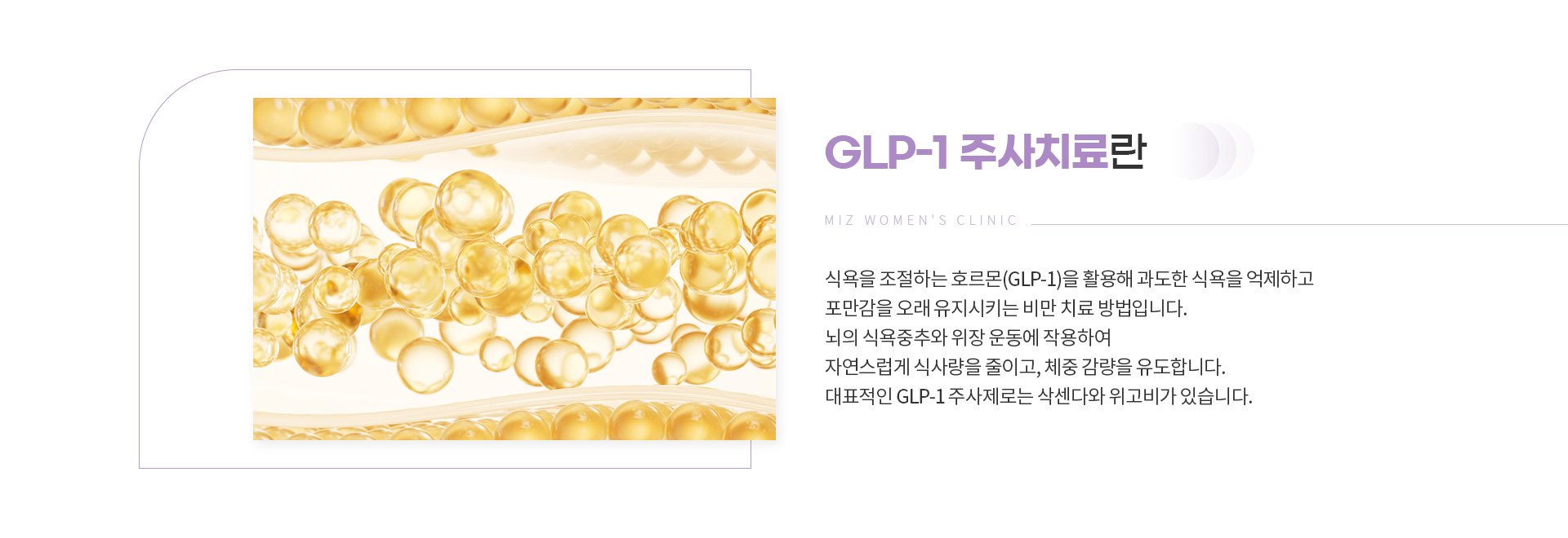 비만클리닉 03